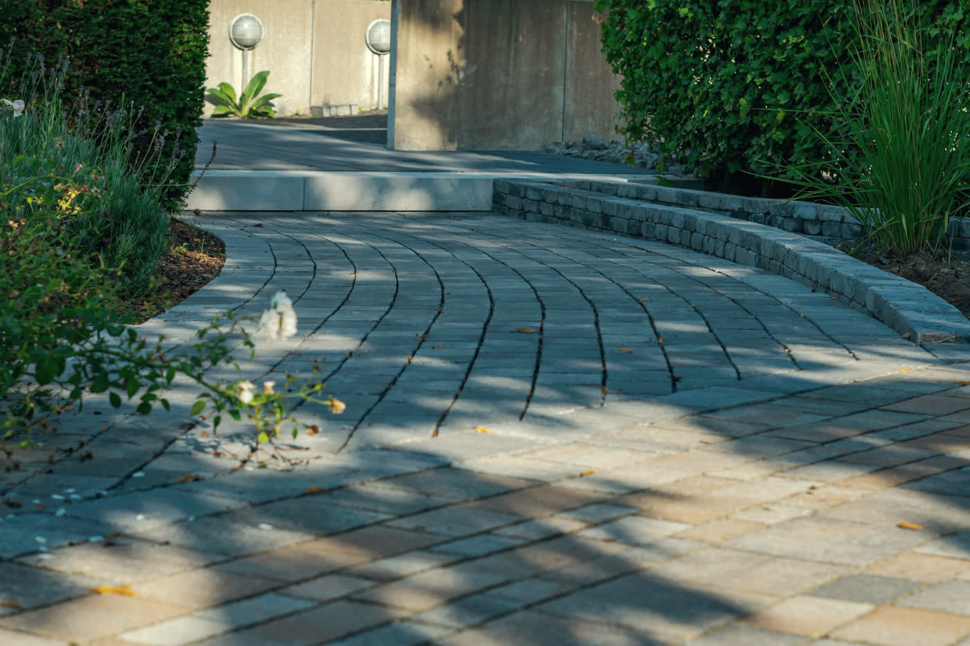 A broad curved drive in dark grey pavers laid in sweeping curved courses, edged by a dry-laid stone kerb, with lavender-blue perennials and grasses along the left.